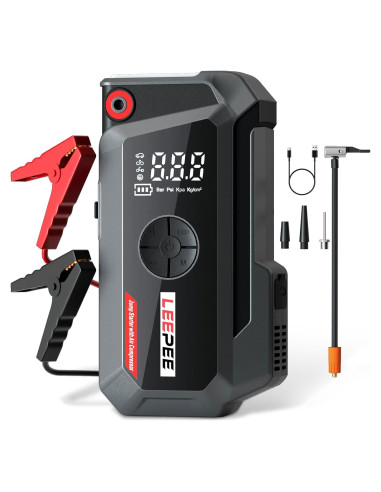 Compresor de Aire LEEPEE TM16K 12V 3000A con Linterna LED