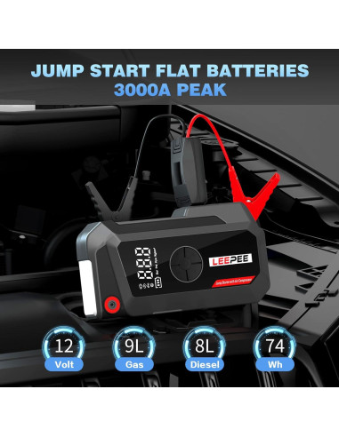 Compresor de Aire LEEPEE TM16K 12V 3000A con Linterna LED
