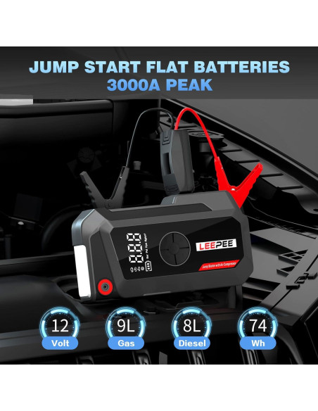 Compresor de Aire LEEPEE TM16K 12V 3000A con Linterna LED
