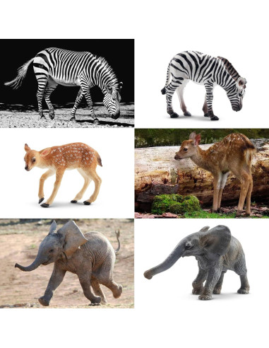 Figuras de Animales del Bosque Toymany - 12 Piezas Realistas