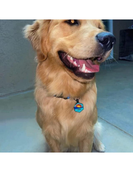 Etiqueta de Identificación Silenciosa PetANTastic Azul Redonda