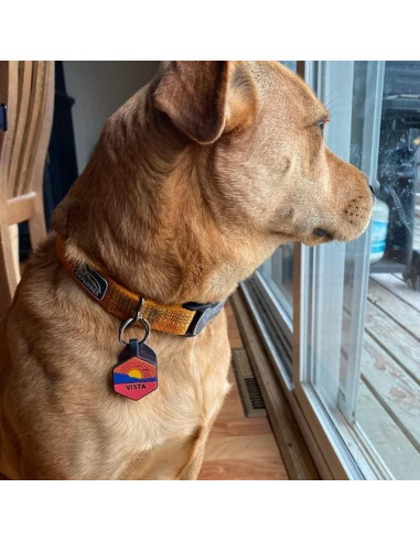 Etiqueta de Identificación Silenciosa PetANTastic Azul Redonda