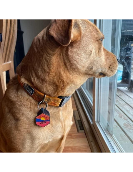 Etiqueta de Identificación Silenciosa PetANTastic Azul Redonda