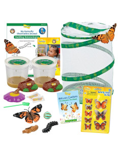 Kit de Jardín de Mariposas Insect Lore - 10 Orugas Vivas