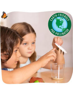 Kit de Jardín de Mariposas Insect Lore - 10 Orugas Vivas 2