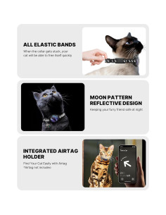 Collar para Gato con Soporte Airtag Typecase Negro 20-30 cm 2