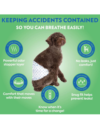 Pañales Desechables para Perros Machos OUT! XS/S 12 Unidades