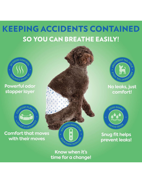 Pañales Desechables para Perros Machos OUT! XS/S 12 Unidades