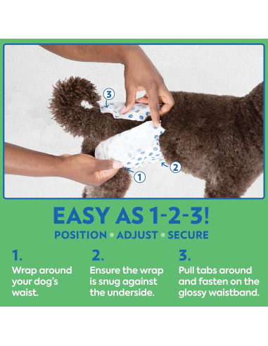 Pañales Desechables para Perros Machos OUT! XS/S 12 Unidades