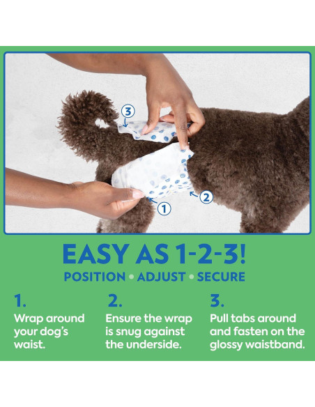 Pañales Desechables para Perros Machos OUT! XS/S 12 Unidades