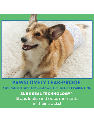 Pañales Desechables para Perros Machos OUT! XS/S 12 Unidades