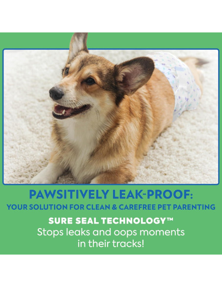 Pañales Desechables para Perros Machos OUT! XS/S 12 Unidades