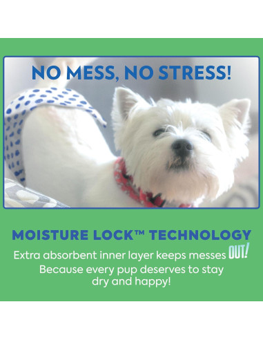 Pañales Desechables para Perros Machos OUT! XS/S 12 Unidades