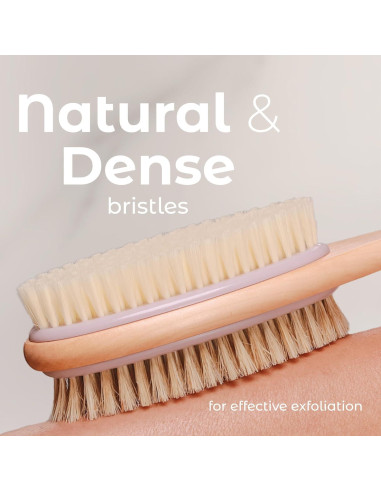 Cepillo de Espalda MainBasics Doble Cara Lavanda 41.91 cm