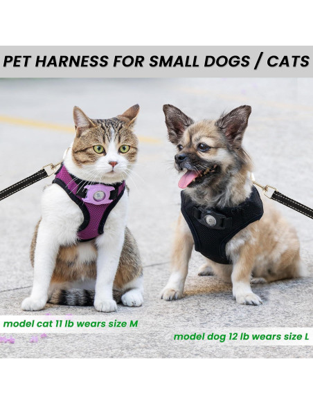 Arnés para Perros Pequeños JVVGPET con Soporte para Airtag