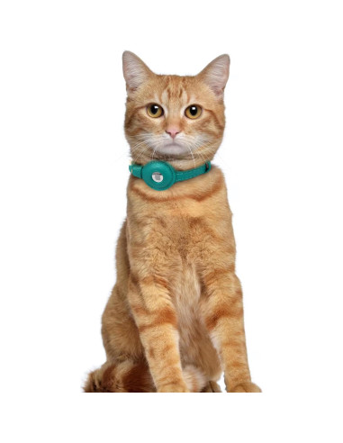 Collar de Gato de Cuero OOPSDOGGY con AirTag - Ajustable 20-28 cm