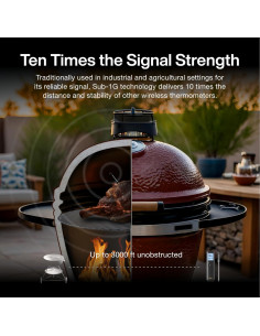 Termómetro de Carne Inalámbrico Typhur Sync Gold Lite - Precisión NIST 2