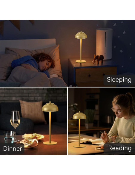 Juego de 2 Lámparas de Mesa LED Doradas Recargables IP65