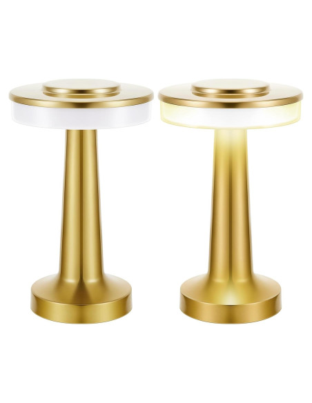 Conjunto de 2 lámparas de mesa LED Riakrum doradas portátiles