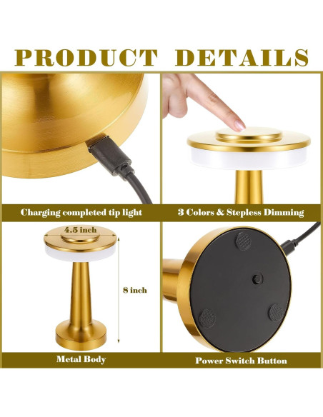 Conjunto de 2 lámparas de mesa LED Riakrum doradas portátiles