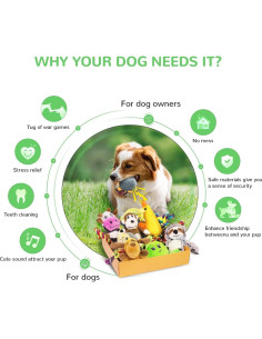 Paquete de 12 Juguetes para Cachorros Legend Sandy - Sonido y Cuerda 2