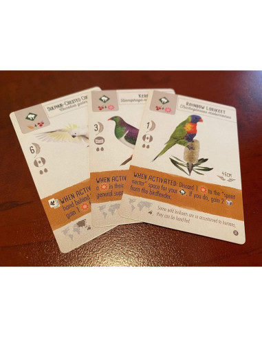 Expansión Oceania Wingspan Stonemaier | 95 Nuevos Pájaros | Modo Cooperativo