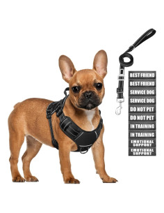 Arnés Táctico para Perros Pequeños MOOGROU Negro Ajustable