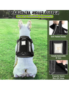 Arnés Táctico para Perros Pequeños MOOGROU Negro Ajustable 2