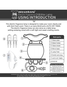 Calentador de Cera Eléctrico HUNANBANG 3 en 1 Azul con Temporizador 2