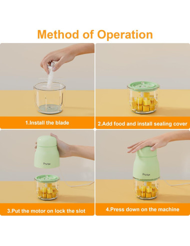 Procesador de Alimentos para Bebés Phydge Verde 300ml 230W