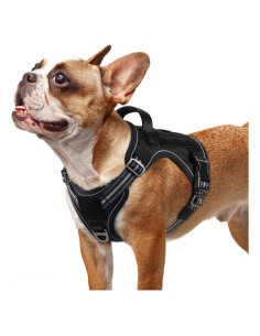 Arnés para Perros Rabbitgoo Táctico Ajustable Negro S