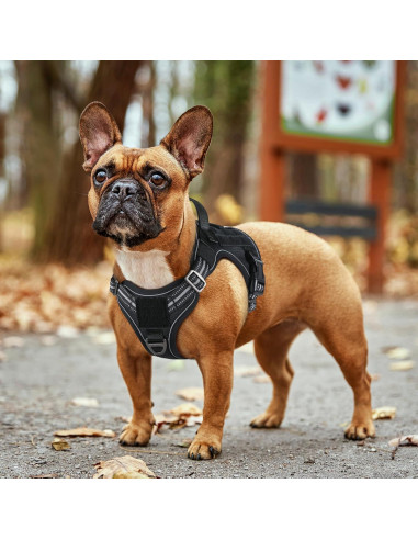 Arnés para Perros Rabbitgoo Táctico Ajustable Negro S