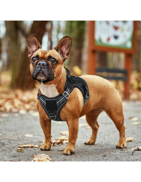 Arnés para Perros Rabbitgoo Táctico Ajustable Negro S