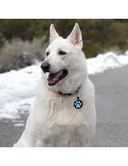 Etiqueta de Identificación QR MYLUCKYTAG para Mascotas 3.05 cm