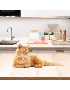 Losetas de Protección para Encimeras Resilia - Beige, 30.48x32.39 cm, Paquete de 2 2