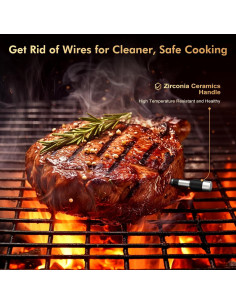 Termómetro de Carne Inalámbrico TempGrill BQ50 con Sonda 5mm 2