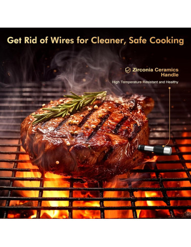 Termómetro de Carne Inalámbrico TempGrill BQ50 con Sonda 5mm