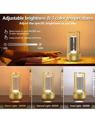 Juego de 2 Lámparas de Mesa Inalámbricas Recargables LED Oro