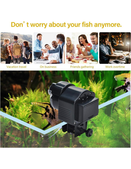 Dispensador Automático de Comida para Peces Lychee AF-2003