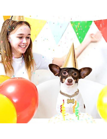 Collar de Cadena para Perros Hillban con Etiqueta Dorada 203x12mm