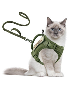 Arnés Táctico AIWAI para Gato Grande y Perro Pequeño Verde