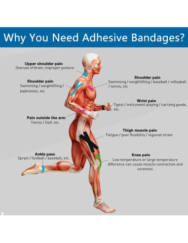 Venda Cohesiva Autoadhesiva GSPCARE 7.62 cm x 4.57 m Primeros Auxilios