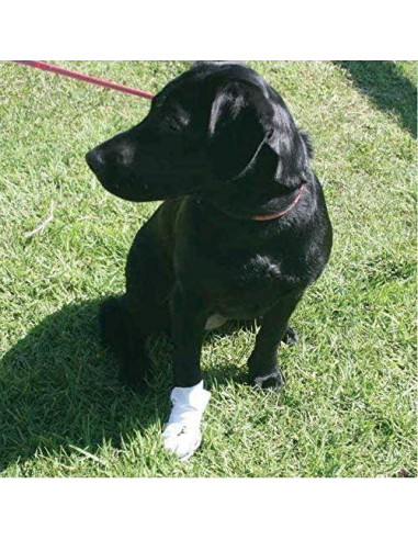 Botas de Recuperación para Perros Nooby's XS - Protección Heridas