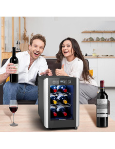 Enfriador de Vino JINJUNYE 6 Botellas Control Digital 7-19C 2