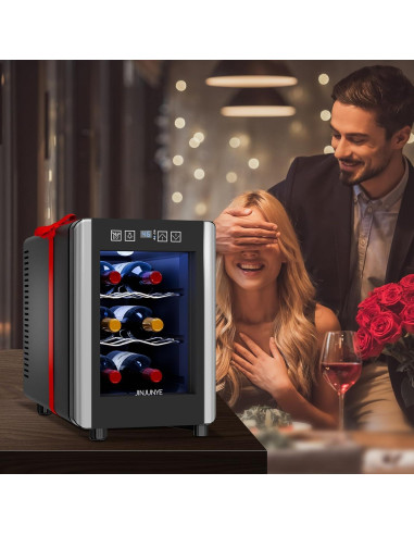 Enfriador de Vino JINJUNYE 6 Botellas Control Digital 7-19C
