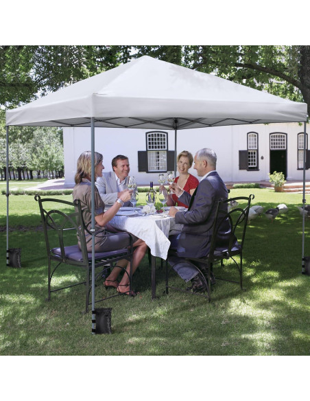 Carpa de Canopy Toyvian 3x3m con Bolsa de Transporte y Ruedas