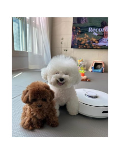 Hojas de Detergente DrAer 240 Unidades para Narwal T10 2