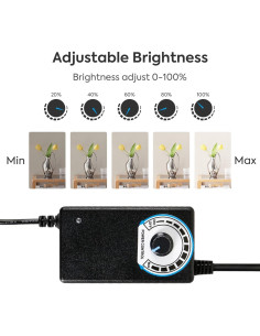 Estudio de Fotografía Profesional SEDGEWIN 120x100x200 cm con Luz LED 2