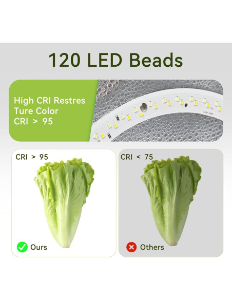 Caja de Luz para Fotografía ZapPort 30.48cm con 120 LED y 6 Fondos