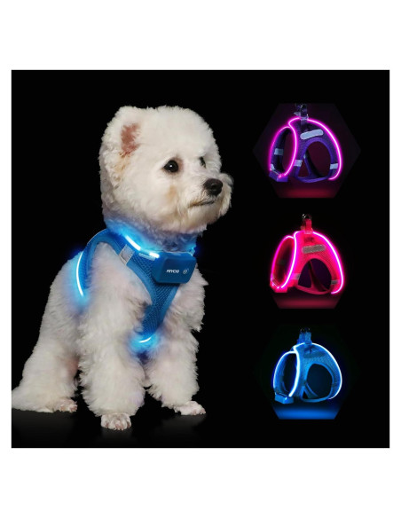 Arnés LED para Perros Feycig XS Ajustable y Recargable Azul
